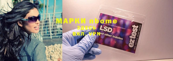 индика Новодвинск