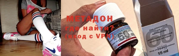 индика Новодвинск