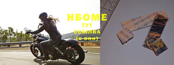 индика Новодвинск