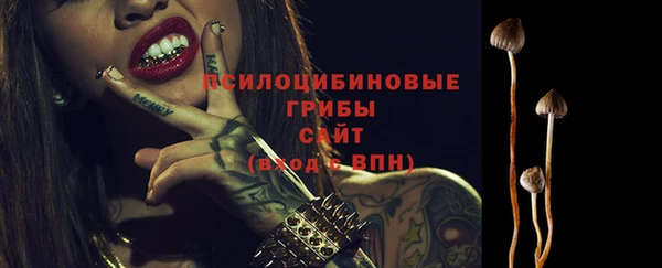 индика Новодвинск