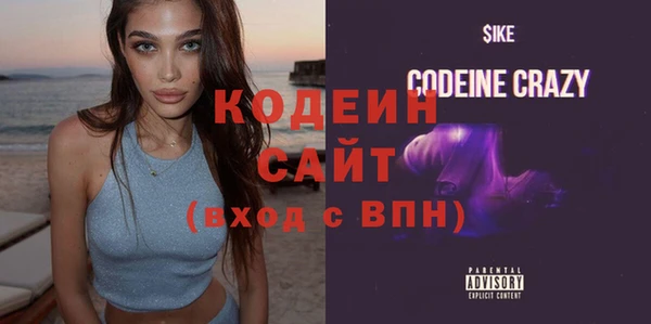 индика Новодвинск