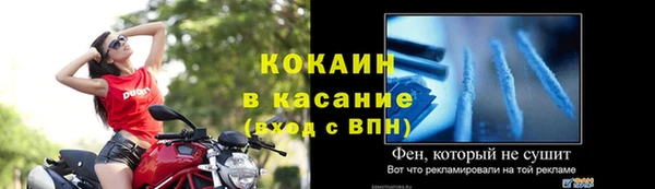 индика Новодвинск