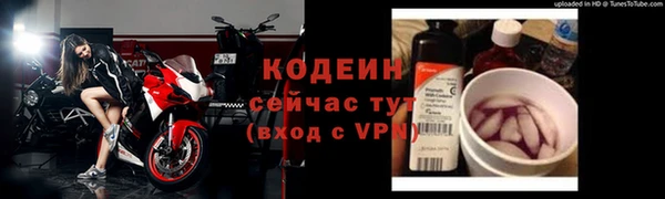 индика Новодвинск