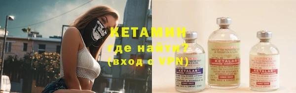 индика Новодвинск