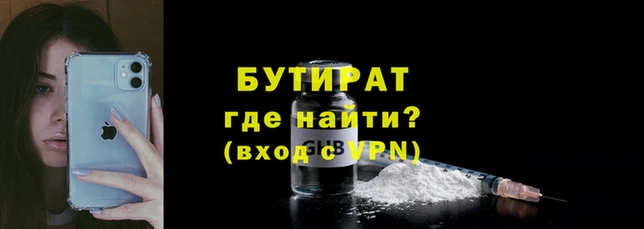 индика Новодвинск