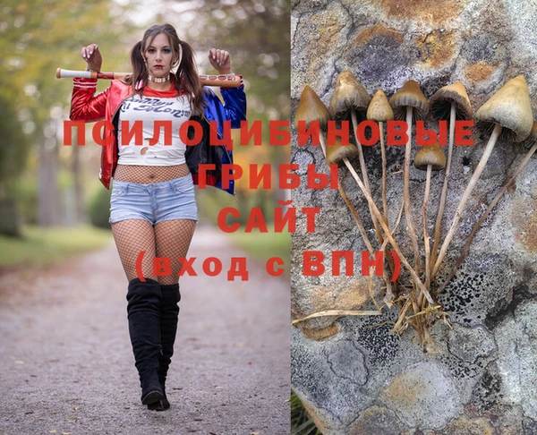 спайс Новозыбков