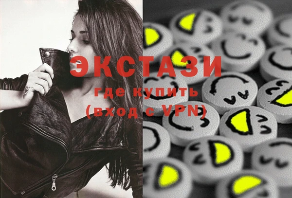 индика Новодвинск