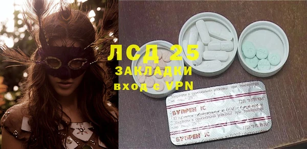 индика Новодвинск