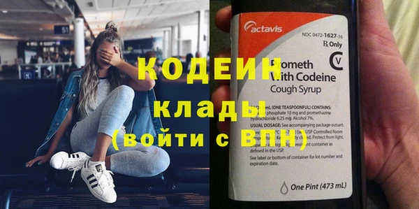 индика Новодвинск