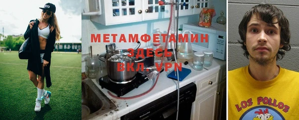индика Новодвинск