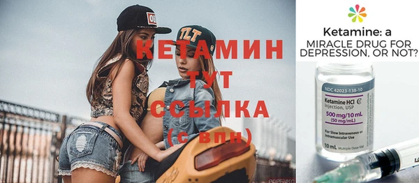 индика Новодвинск