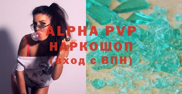 индика Новодвинск