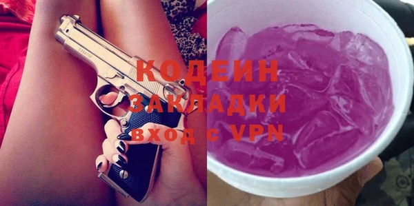 индика Новодвинск