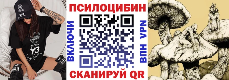 Псилоцибиновые грибы Psilocybine cubensis  даркнет сайт  Полысаево 