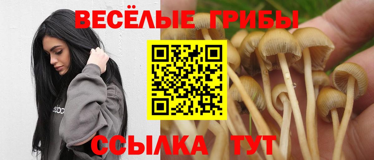 Полысаево  Псилоцибиновые грибы Magic Shrooms  Вход с VPN 