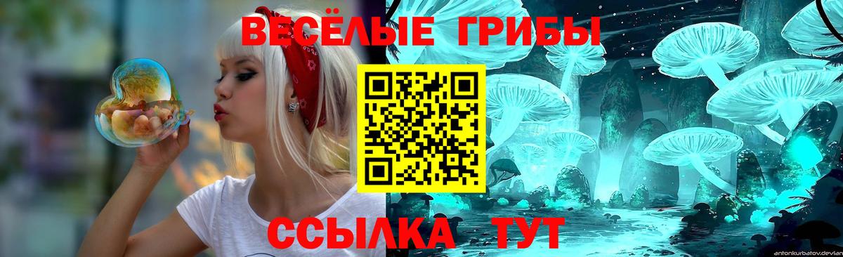 Галлюциногенные грибы ЛСД  Полысаево  хочу наркоту  Галлюциногенные грибы MAGIC MUSHROOMS 